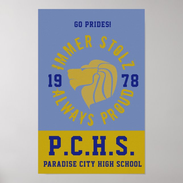 PÓSTER POSTER PCHS (Frente)