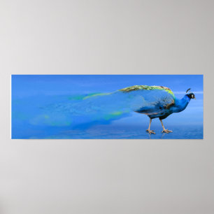 Póster Poster Peacock