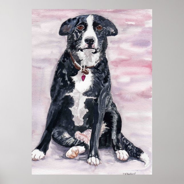 Póster poster "Perro negro" (Frente)