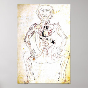 Póster Poster persa del siglo XIII de la anatomía del
