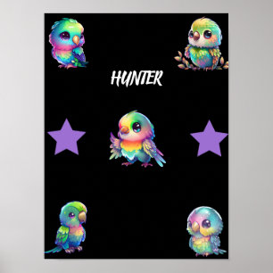 Póster Poster personalizado de Aves y Estrellas del Arcoi