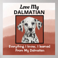 Poster Personalizado de Dalmacia