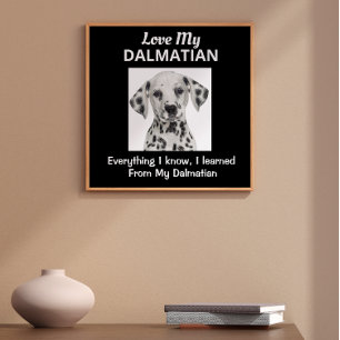 Póster Poster Personalizado de Dalmacia