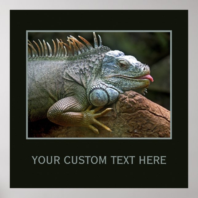 Póster Poster personalizado de Iguana (Frente)