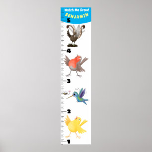 Póster Poster personalizado de pájaros graciosos