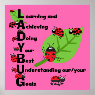 Póster POSTER Personalizado LADYBUG