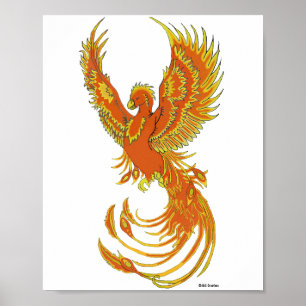 Póster Poster Phoenix Rising