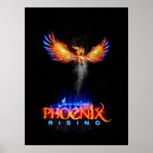 Póster Poster Phoenix Rising