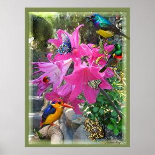 Póster Poster Pink-Amaryllis y Kingfisher