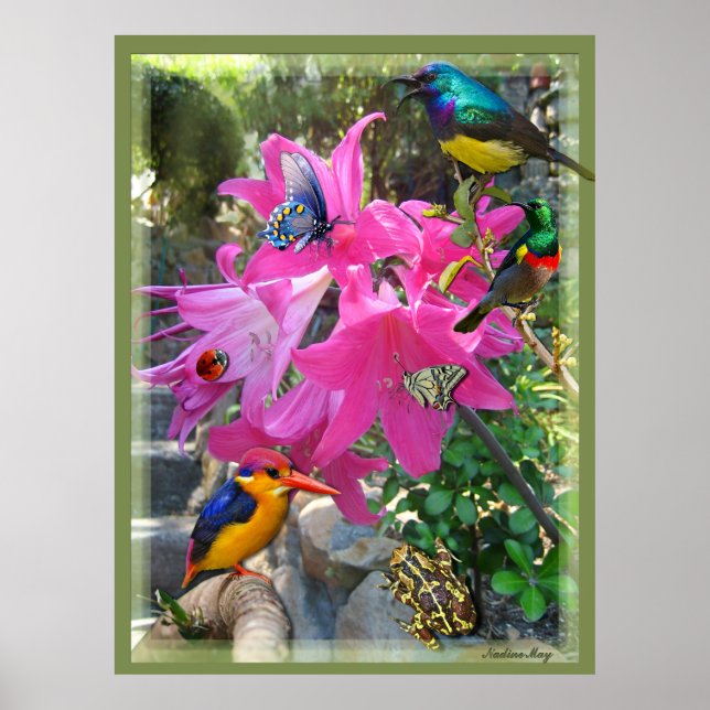 Póster Poster Pink-Amaryllis y Kingfisher (Frente)