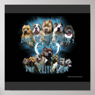 Póster Poster Pit Bull