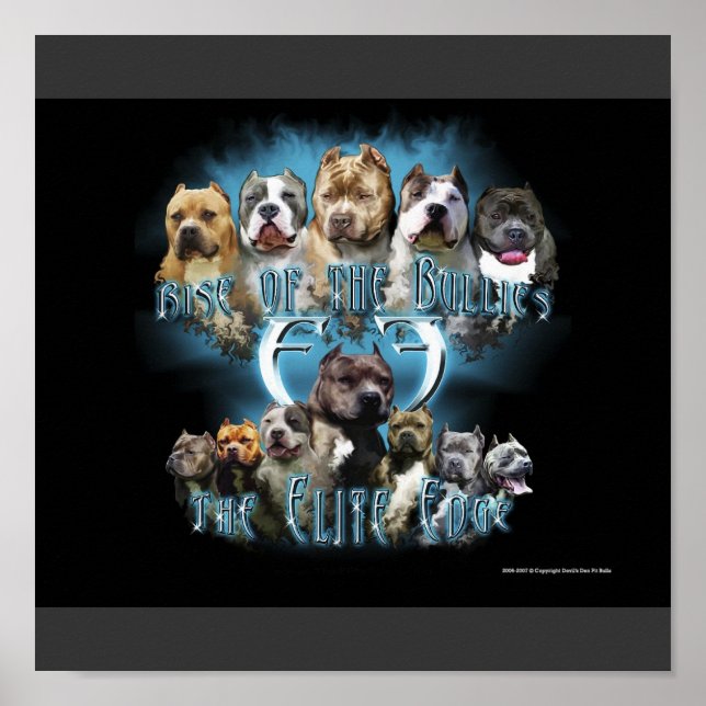 Póster Poster Pit Bull (Frente)
