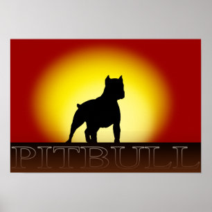 Póster Poster Pitbull Sunset