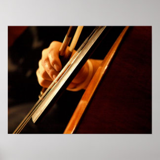 Póster Poster Pizzicato