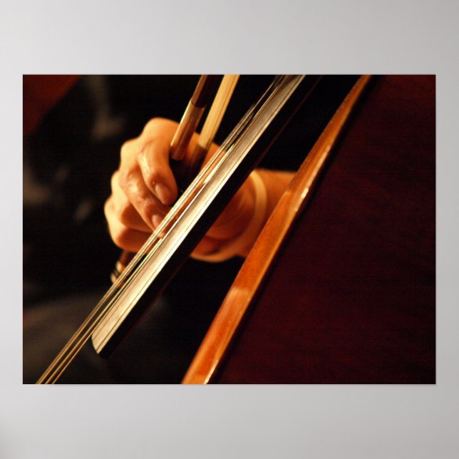 Póster Poster Pizzicato (Frente)