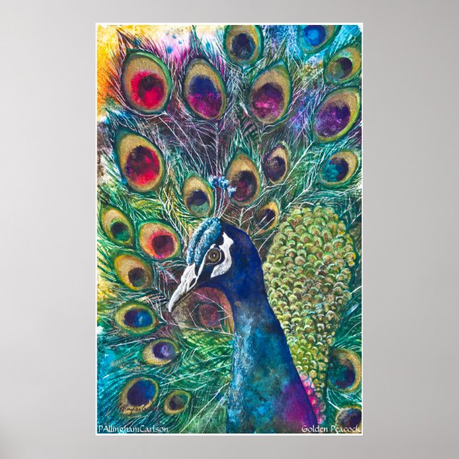 Póster Poster PMACarlson Golden Peacock (Frente)