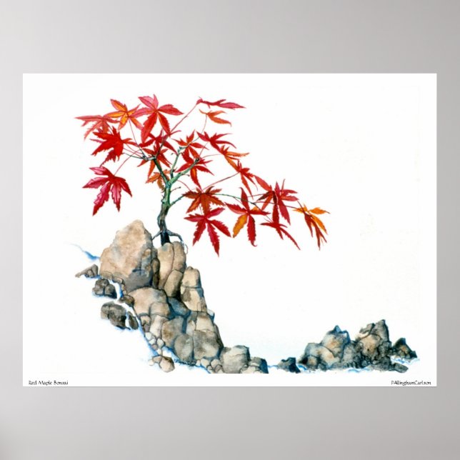 Póster Poster PMACarlson Red Maple Bonsai (Frente)