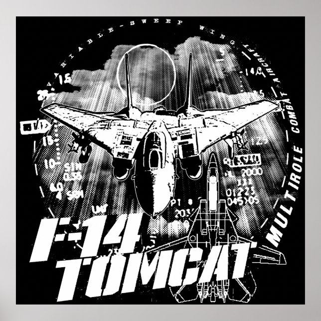 Póster Poster Poster F-14 Tomcat (Frente)