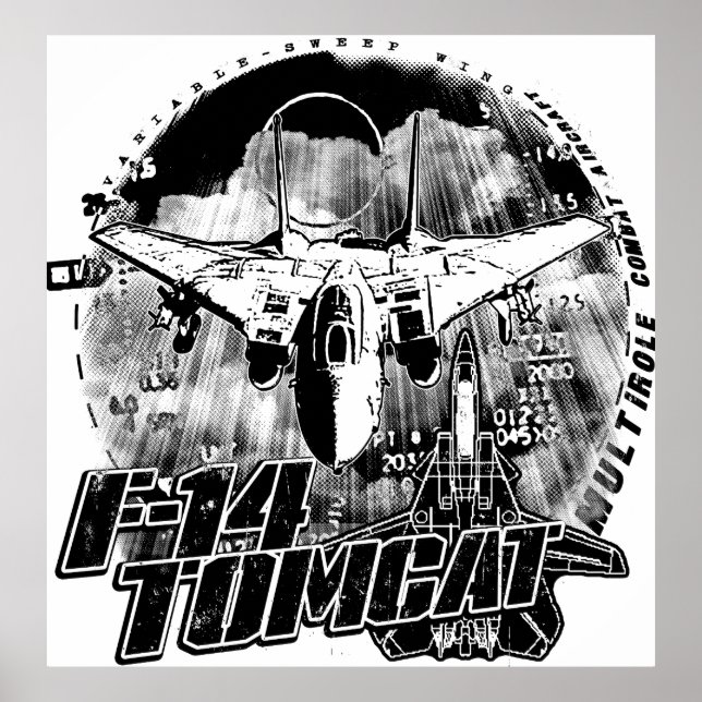Póster Poster Poster F-14 Tomcat (Frente)