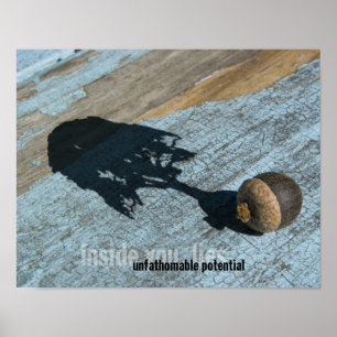 Póster Poster potencial