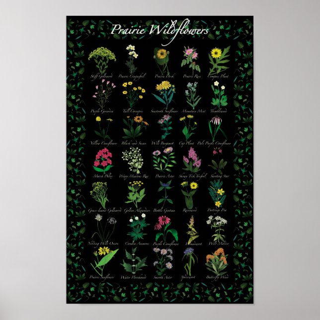 Póster Poster Prairie Wildflowers (Frente)