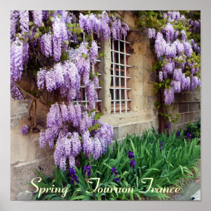 Póster POSTER - primavera - Tournon Francia