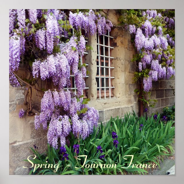 Póster POSTER - Primavera - Tournon Francia (Frente)
