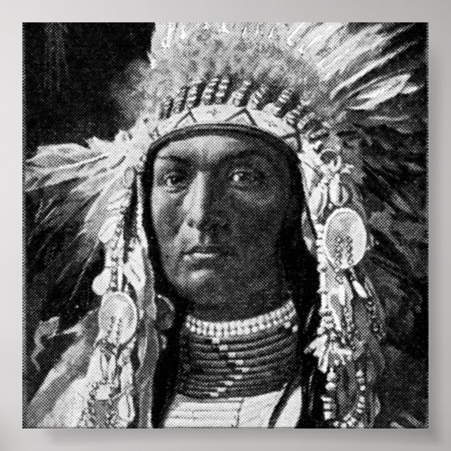 Póster Poster Principal de la India Americana (Frente)