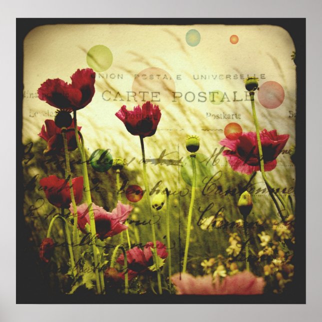 Póster Poster Printemps (Frente)