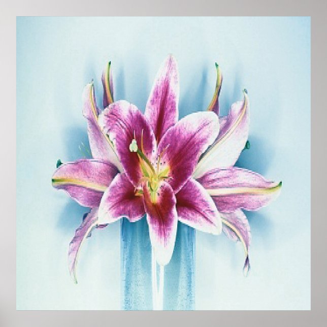 Póster Poster Purple Tiger Lilly (Frente)