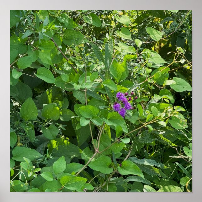 Póster Poster Purple Wildflowers (Frente)