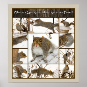 Póster Poster - ¿Qué tiene que hacer un chico para conseg