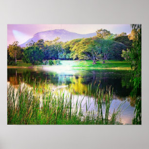 Póster Poster Quiet Stream