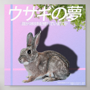Póster Poster Rabbitwave 2.0