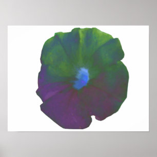 Póster Poster Rainbow Petunia