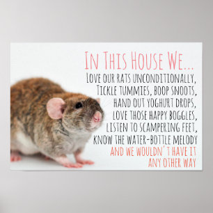 Póster Poster Rat Lover
