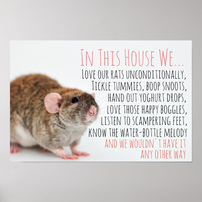 Póster Poster Rat Lover (Frente)