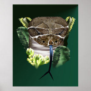 Póster Poster Rattle Snake Face