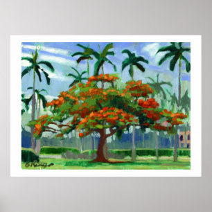 Póster Poster Real de Poinciana