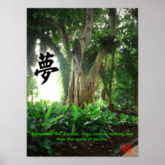 Póster Poster: Recuerda los sueños. ...