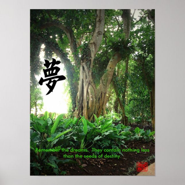 Póster Poster: Recuerda los sueños. ... (Frente)