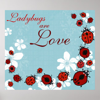 Póster Poster Red Ladybug