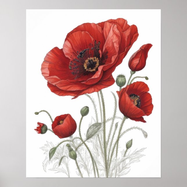 Póster Poster Red Poppies (Frente)