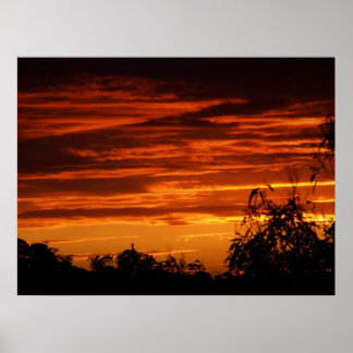 Póster Poster RedSunset