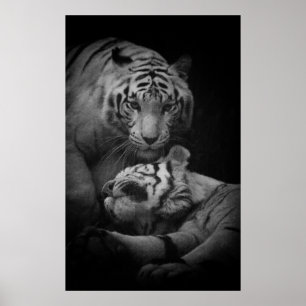 Póster Poster requerido ayuda