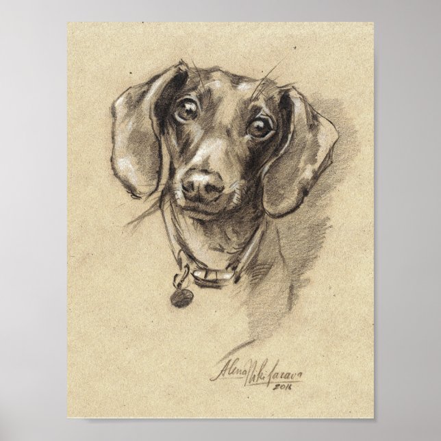 Póster Poster - Retrato de Dachshund de 8,5" x 11" (Frente)