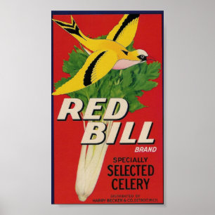 Póster poster rojo del apio de la cuenta