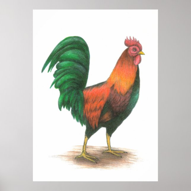 Póster Poster Rooster (Frente)