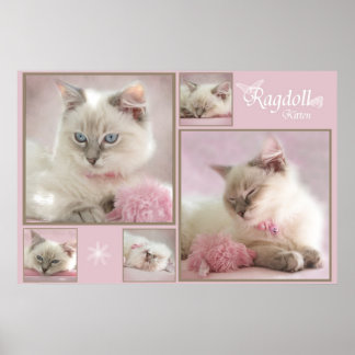 Póster poster rosa