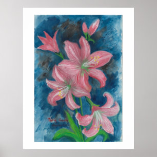 Póster poster rosa amaryllis